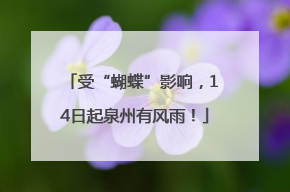 受“蝴蝶”影响，14日起泉州有风雨！